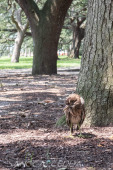 2024_08_17_Charleston_013