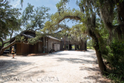 2024_08_17_Charleston_027