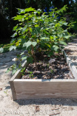 2024_08_17_Charleston_033