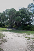 2024_08_17_Charleston_039
