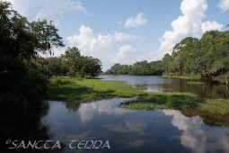 2024_08_17_Charleston_046
