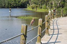 2024_08_17_Charleston_051