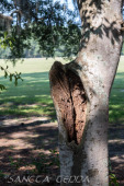 2024_08_17_Charleston_055