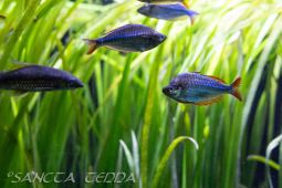 2024_10_05_Tierpark_Bochum_008