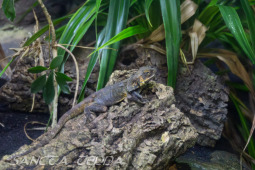 2024_10_05_Tierpark_Bochum_009