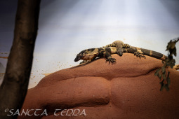 2024_10_05_Tierpark_Bochum_010