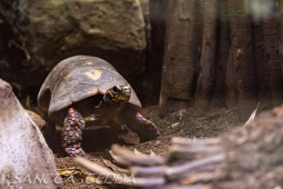 2024_10_05_Tierpark_Bochum_013