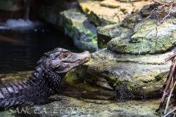 2024_10_05_Tierpark_Bochum_017