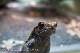 2024_10_05_Tierpark_Bochum_018