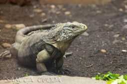 2024_10_05_Tierpark_Bochum_022
