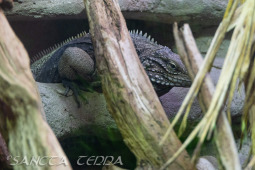 2024_10_05_Tierpark_Bochum_023