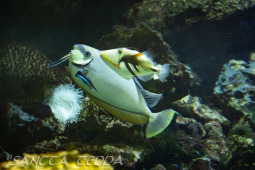 2024_10_05_Tierpark_Bochum_024