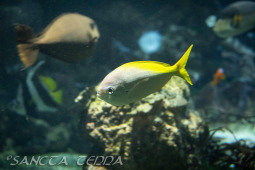 2024_10_05_Tierpark_Bochum_025