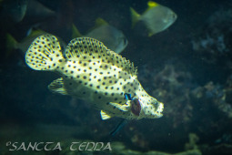 2024_10_05_Tierpark_Bochum_026