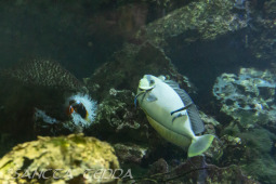 2024_10_05_Tierpark_Bochum_028