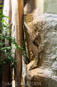 2024_10_05_Tierpark_Bochum_029
