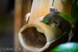 2024_10_05_Tierpark_Bochum_030