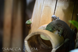 2024_10_05_Tierpark_Bochum_031