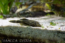 2024_10_05_Tierpark_Bochum_033