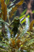 2024_10_05_Tierpark_Bochum_035