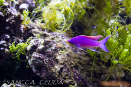 2024_10_05_Tierpark_Bochum_041