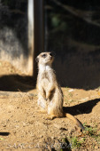 2024_10_05_Tierpark_Bochum_043