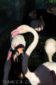 2024_10_05_Tierpark_Bochum_045