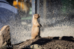 2024_10_05_Tierpark_Bochum_046