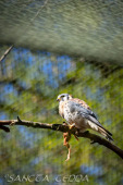 2024_10_05_Tierpark_Bochum_048