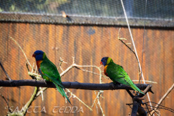 2024_10_05_Tierpark_Bochum_050