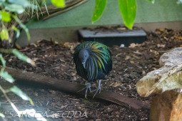 2024_10_05_Tierpark_Bochum_054