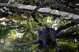 2024_10_05_Tierpark_Bochum_056