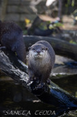 2024_10_05_Tierpark_Bochum_057