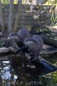 2024_10_05_Tierpark_Bochum_058