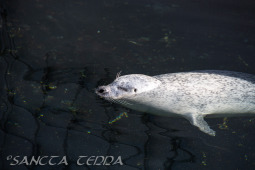 2024_10_05_Tierpark_Bochum_065
