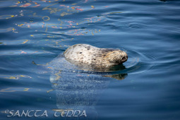 2024_10_05_Tierpark_Bochum_066