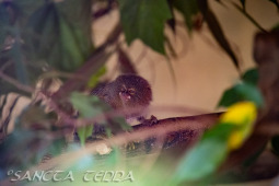 2024_10_05_Tierpark_Bochum_069