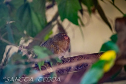 2024_10_05_Tierpark_Bochum_070