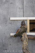2024_10_05_Tierpark_Bochum_072