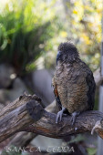 2024_10_05_Tierpark_Bochum_074
