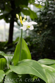 2024_10_21_Emsflower_016