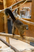 2024_10_22_Zoo_Rheine_004