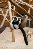 2024_10_22_Zoo_Rheine_008