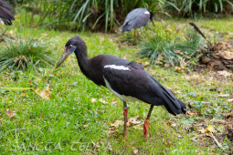 2024_10_22_Zoo_Rheine_018