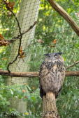 2024_10_22_Zoo_Rheine_035