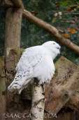 2024_10_22_Zoo_Rheine_036