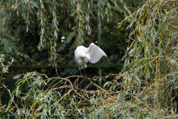 2024_10_22_Zoo_Rheine_041