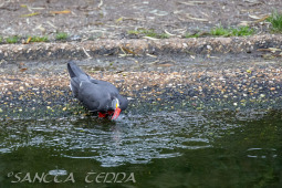 2024_10_22_Zoo_Rheine_049