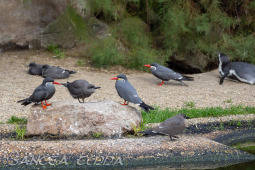 2024_10_22_Zoo_Rheine_050