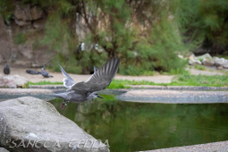 2024_10_22_Zoo_Rheine_052